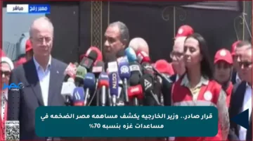 قرار صادر.. وزير الخارجية يكشف مساهمة مصر الضخمة في مساعدات غزة بنسبة 70%